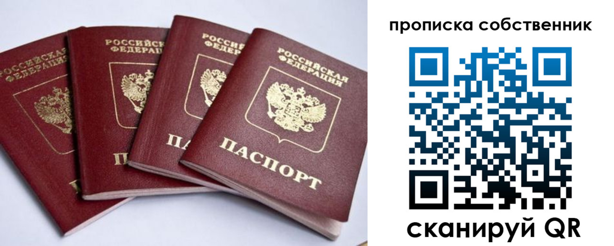 прописка для школы в Благодарном